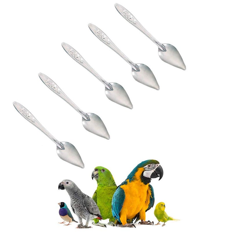 Bandelt 5 Pcs Stainless Steel Bird Parrot Feeder Spoon for Baby Birds, 4.7" - Image 4